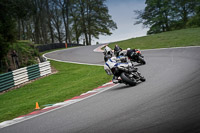 Middle Group Black Bikes